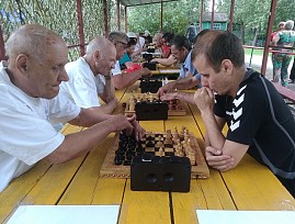 В Ростовской региональной организации ВОС состоялся областной чемпионат по шахматам среди инвалидов по зрению
