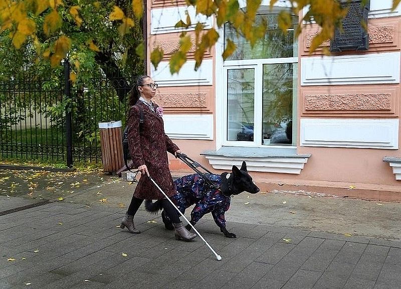 Женщина с белой тростью и собакой проводником идёт по улице