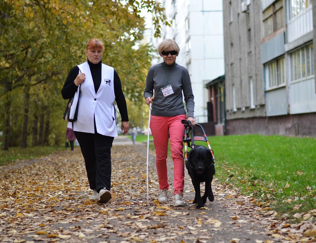 две женщины идут с собакой-проводником