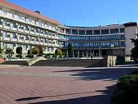 Президент ВОС В. В. Сипкин предложил рассмотреть меры поддержки санаторно-курортного комплекса ВОС в Совете Федерации ФС РФ