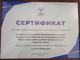 Белгородская региональная организация ВОС получила 750000 рублей на реализацию нового социального проекта
