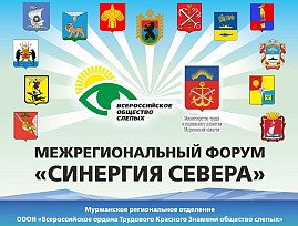 Мурманская региональная организация ВОС готовится к проведению межрегионального форума «Синергия Севера»