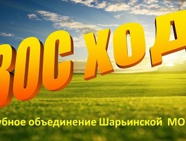 В Костромской региональной организации ВОС создаются новые объединения активной молодёжи