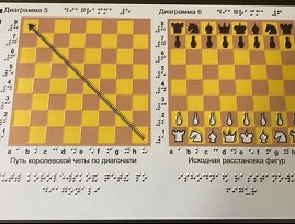 ИПТК «Логосвос» выпустил тактильные пособия для обучения шахматам