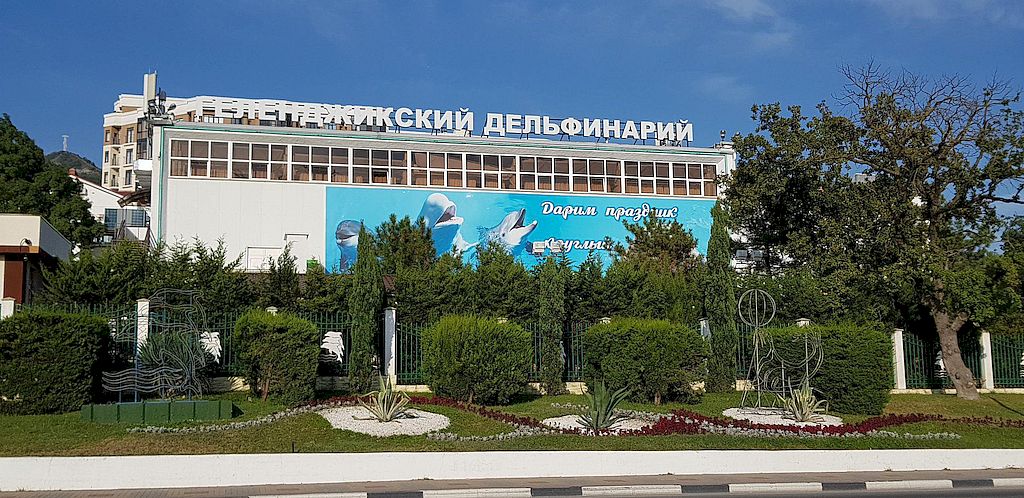 На фотографии здание Геленджикского дельфинария.