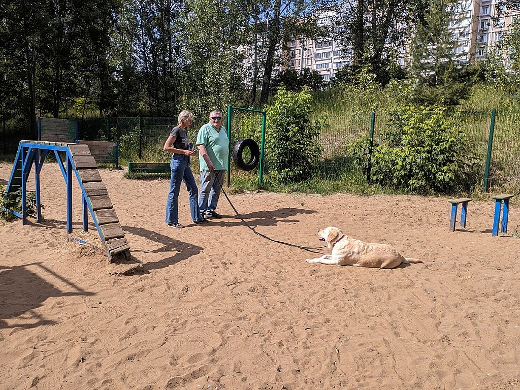 Соревнования собак проводников