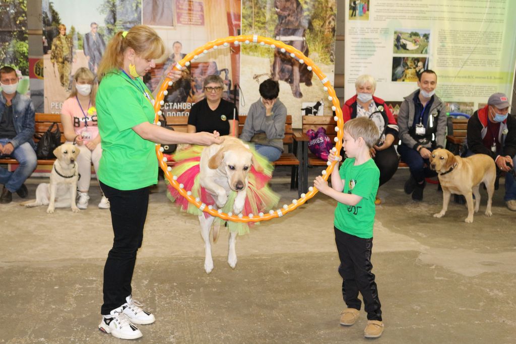 Собаки-проводники показывают свои умения и навыки в ходе конкурса