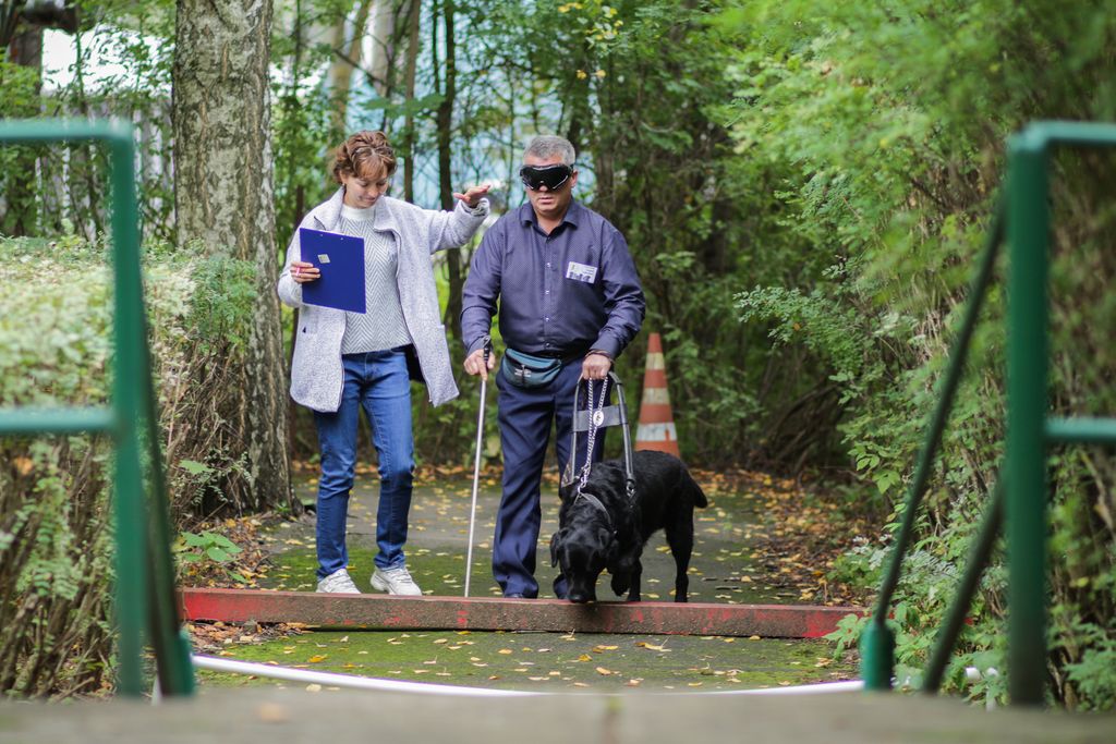Прохождение полосы препятствий инвалидом по зрению и его собаки