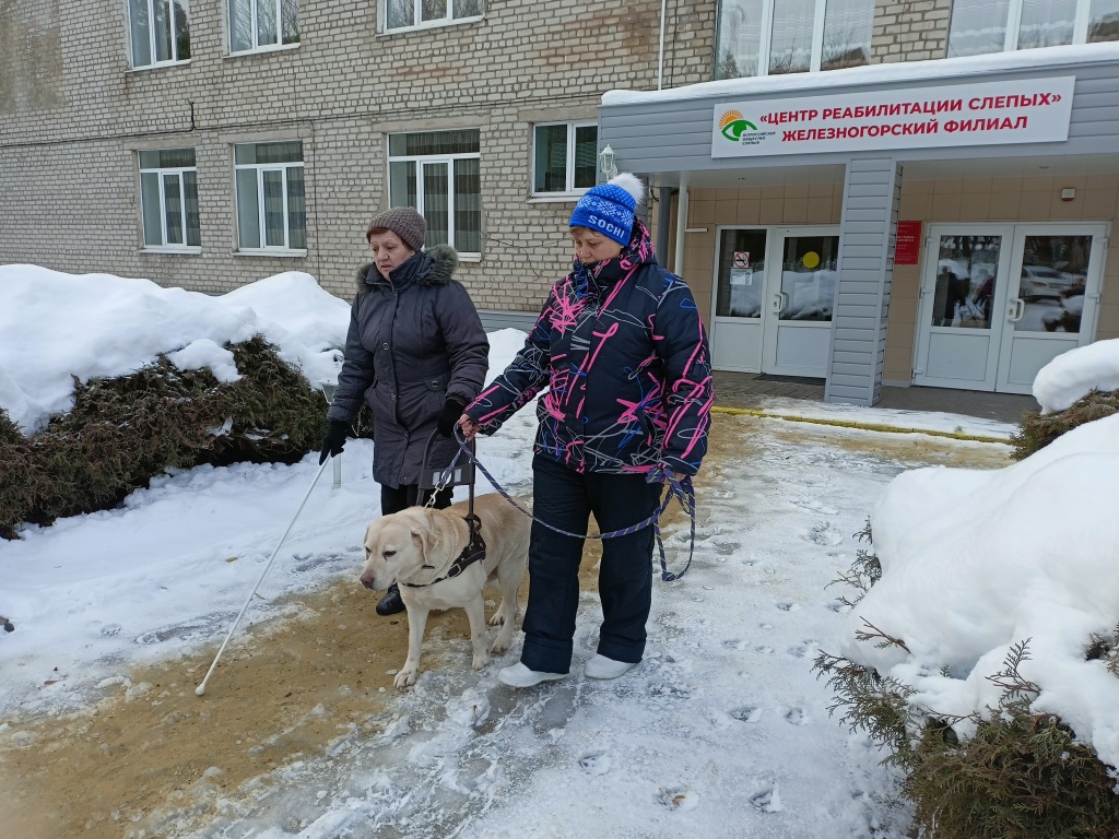 Мастер-класс от специалистов Российской школы подготовки собак-проводников ВОС