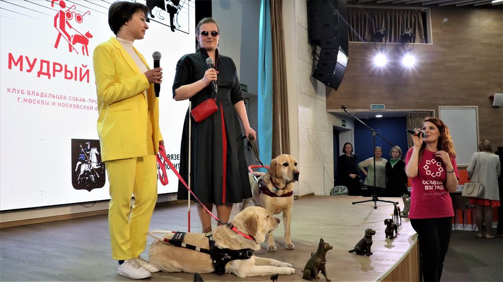 Собаки-проводники и их хозяева в ходе показательных выступлений