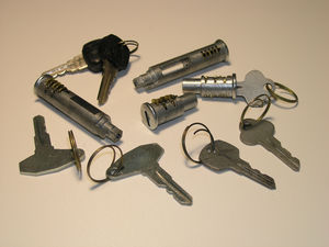 Личинка замка