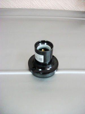 Элетропатрон потолочный