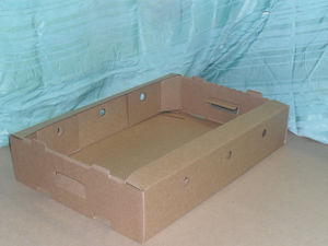 Гофроподдон под куру