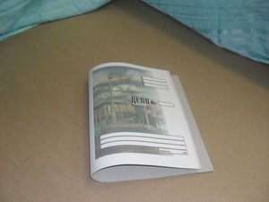 Скоросшиватель