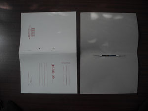 Скоросшиватель