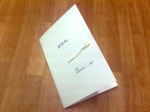 Папка для бумаг с завязками