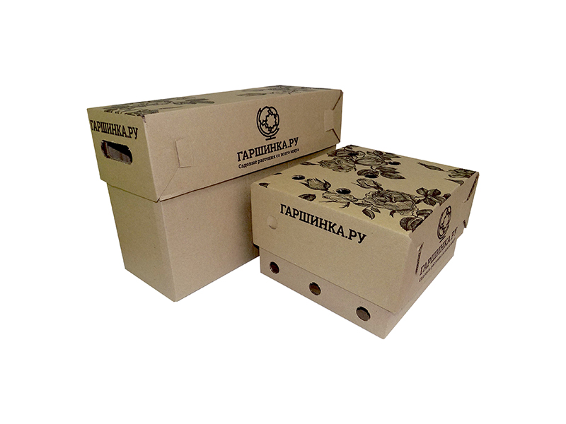 Коробка для упаковки растений