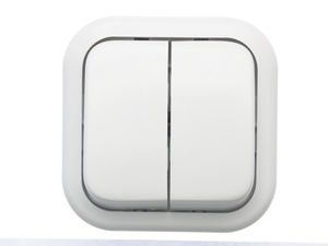 Выключатель открытой установки двухклавишный А56-025 