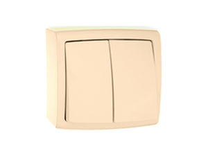 Выключатель открытой установки двухклавишный А56-032 