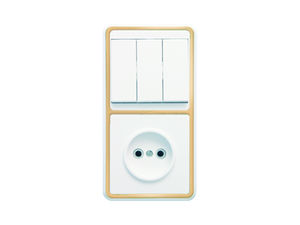 Блок комбинированный скрытой установки (3клавишный выключатель+розетка) БКВР-039