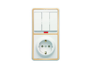 Блок комбинированный скрытой установки (3клавишный выключатель с подсветкой +розетка с заземляющим контактом, защитной шторкой) БКВР-209 