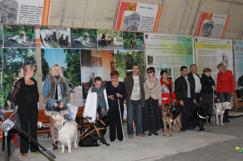 С собакой под дождем…