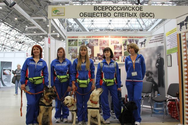 Незаменимый помощник