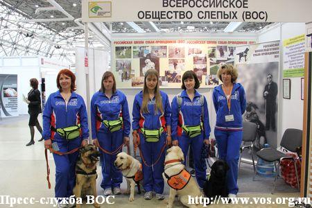 Питомцы Российской школы подготовки собак-проводников ВОС – надежные помощники инвалидов