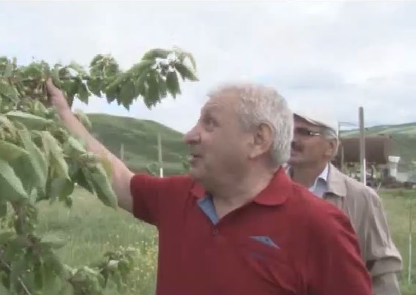 В Дагестанской РО ВОС образована новая местная организация во главе с талантливым активистом
