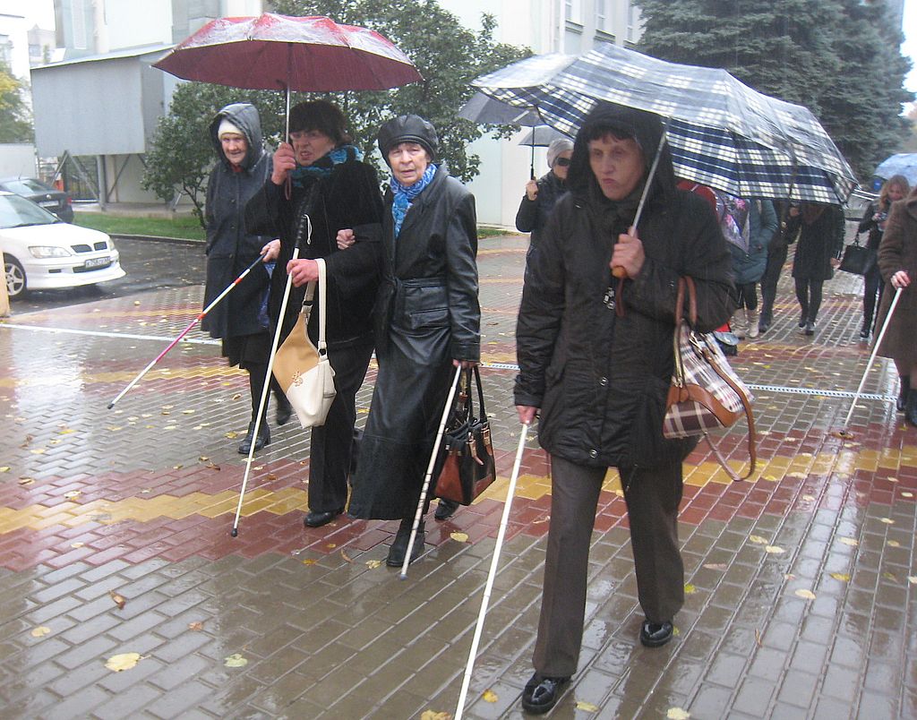 Липецкая региональная организация ВОС провела социальную акцию «Доступная среда – путь к независимой жизни»