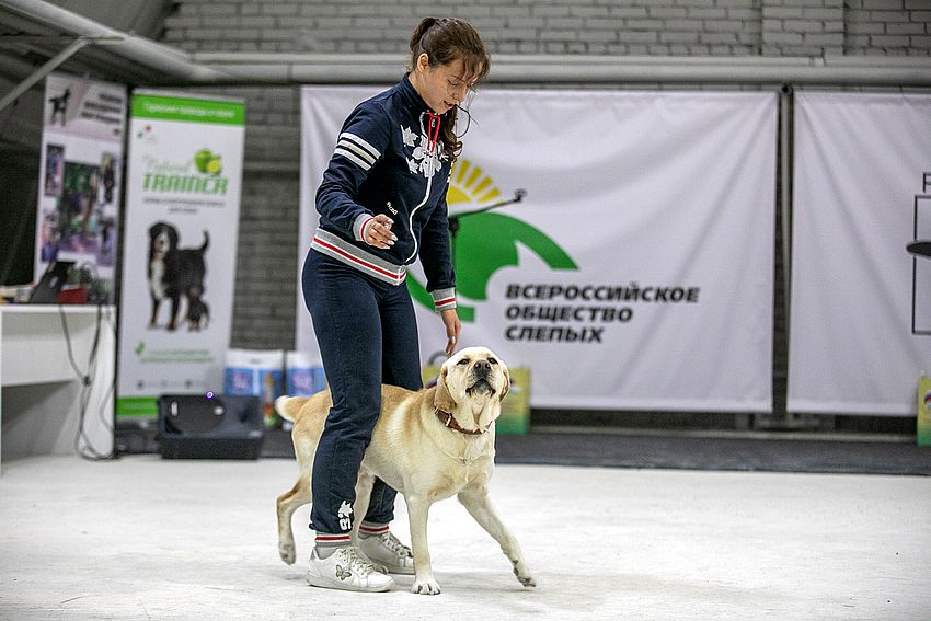 rshpspvos konkurs festyval2022 12