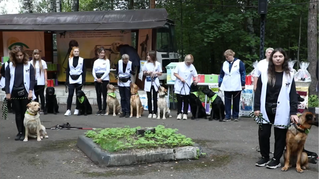 Видеоновости Всероссийского общества слепых за август 2024 года