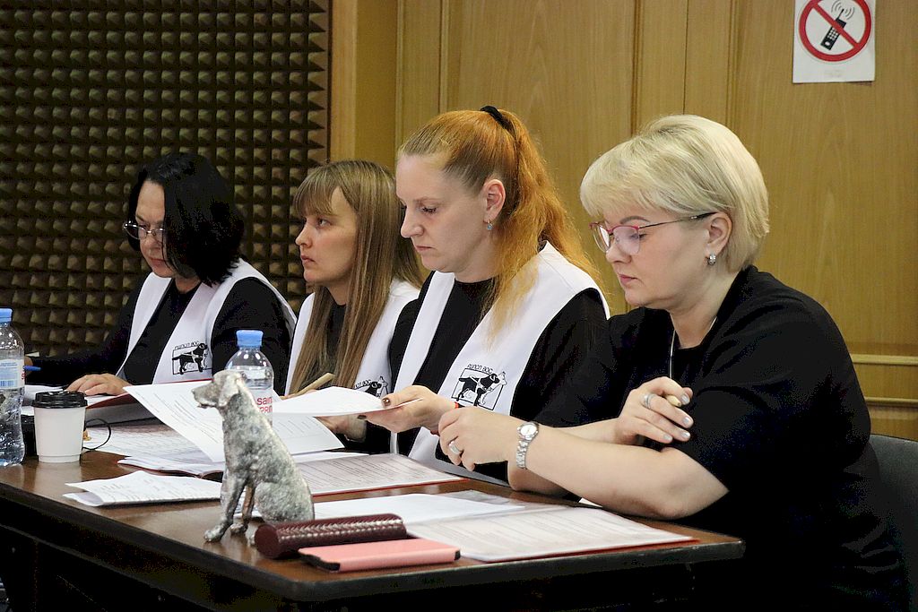 жюри конкурса