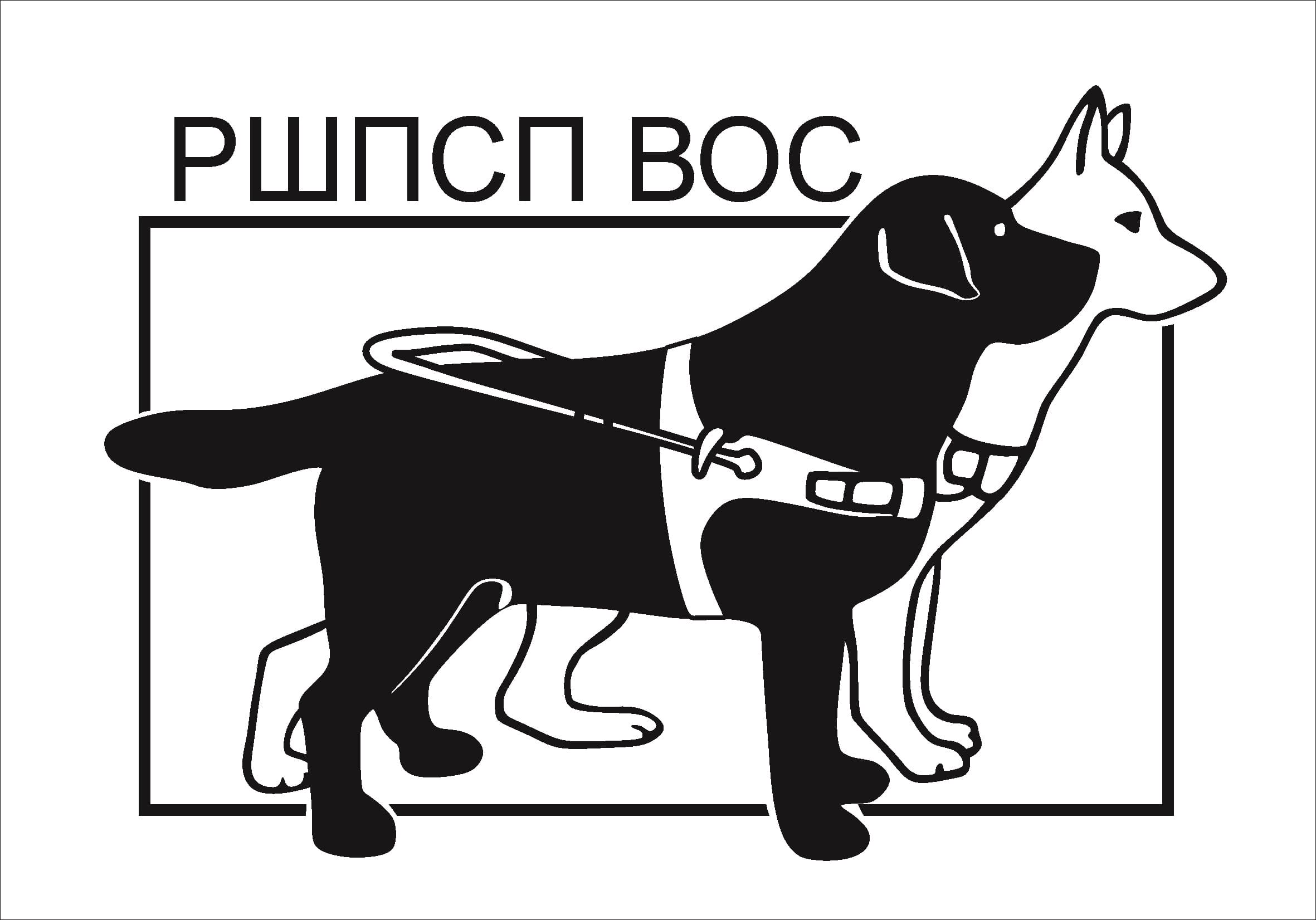 черно-белый логотип Российской школы подготовки собак-проводников. На белом фоне очерчен черный горизонтально расположенный прямоугольник. По верхнему краю прямоугольника располагается аббревиатура РШПСП ВОС. Надпись выполнена прописными буквами без засечек. Внутрь прямоугольника с небольшим выходом за его контур вписано изображение двух собак в профиль. Взгляд собак направлен вправо. На заднем плане черным контуром на белом фоне видны очертания головы и лап собаки породы немецкая овчарка. На переднем плане изображена собака-проводник – черный лабрадор, на которой надето специальное снаряжение.