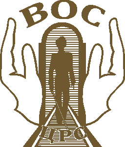 логотип ЦРС ВОС