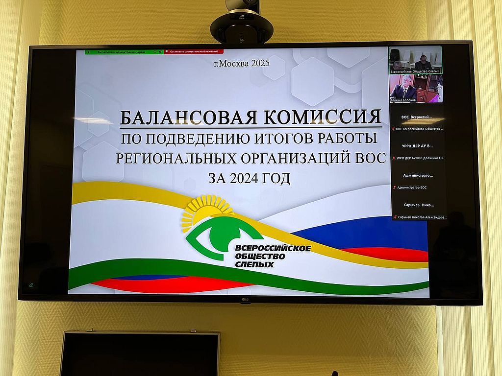 Начала работу Балансовая комиссия по подведению итогов деятельности РО ВОС в 2024 году