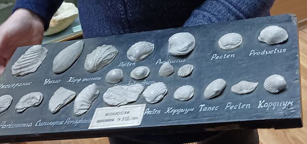 Члены Луганской республиканской организации ВОС посетили тактильную выставку «Природа края»