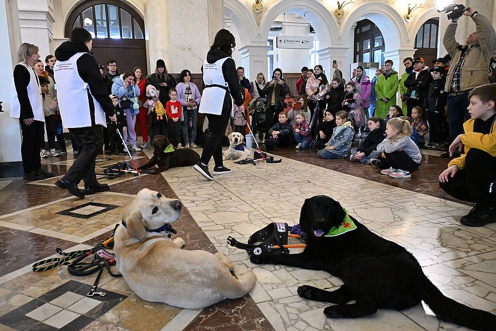 Школа собак-проводников ВОС провела мероприятие для москвичей и гостей столицы