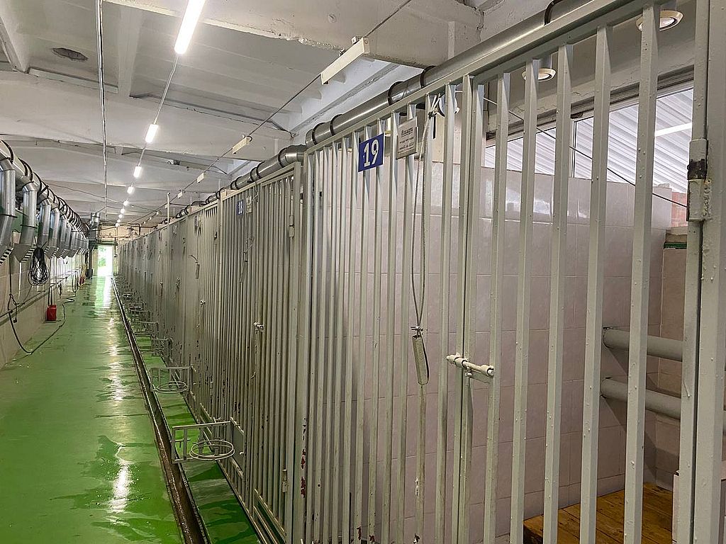 коридор с вольерами - домиками для собак